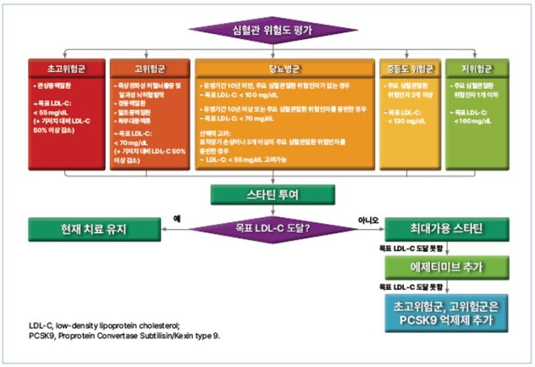 기사 제목 '이상지질혈증 치료의 최신 가이드라인 정리'의 대표 이미지