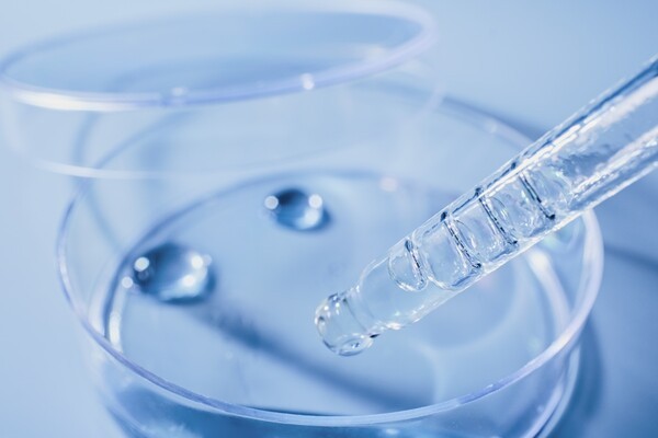 Analyzing liquid samples in petri dish with pipette.