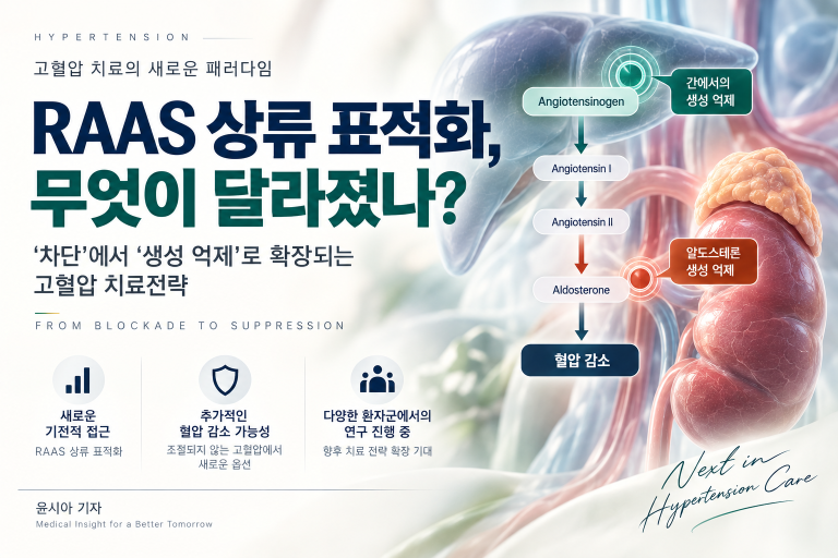 기사 제목 '고혈압 치료, ‘차단’에서 ‘생성 억제’로'의 대표 이미지