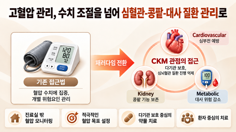 기사 제목 'CKM 증후군 시대의 고혈압 관리: 통합적 위험 관리 전략으로의 패러다임 전환'의 대표 이미지
