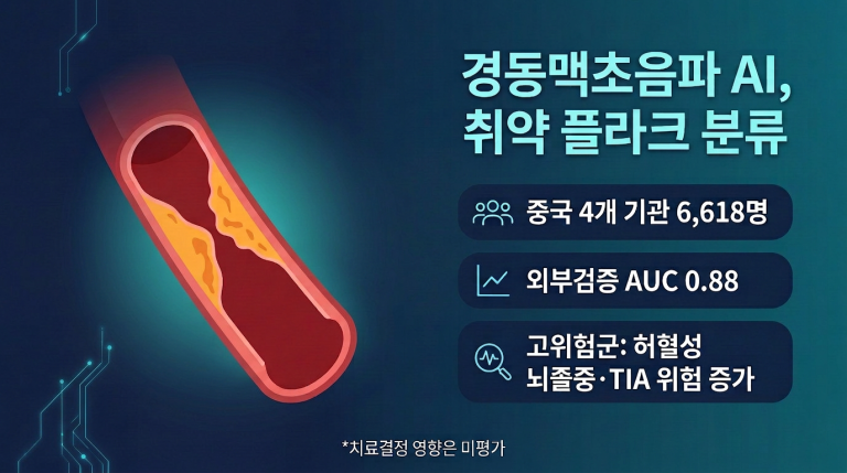 기사 제목 '경동맥초음파 AI, 취약 플라크 분류…뇌허혈 사건과도 연관'의 대표 이미지